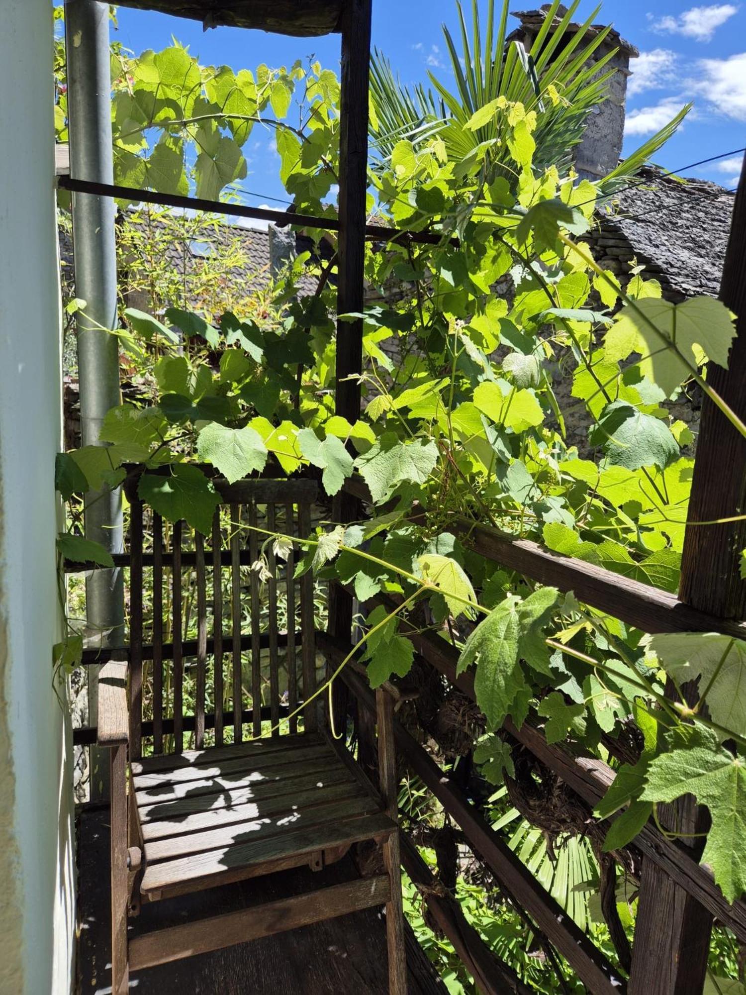 ロカルノCasa Grillinoアパートメント 部屋 写真
