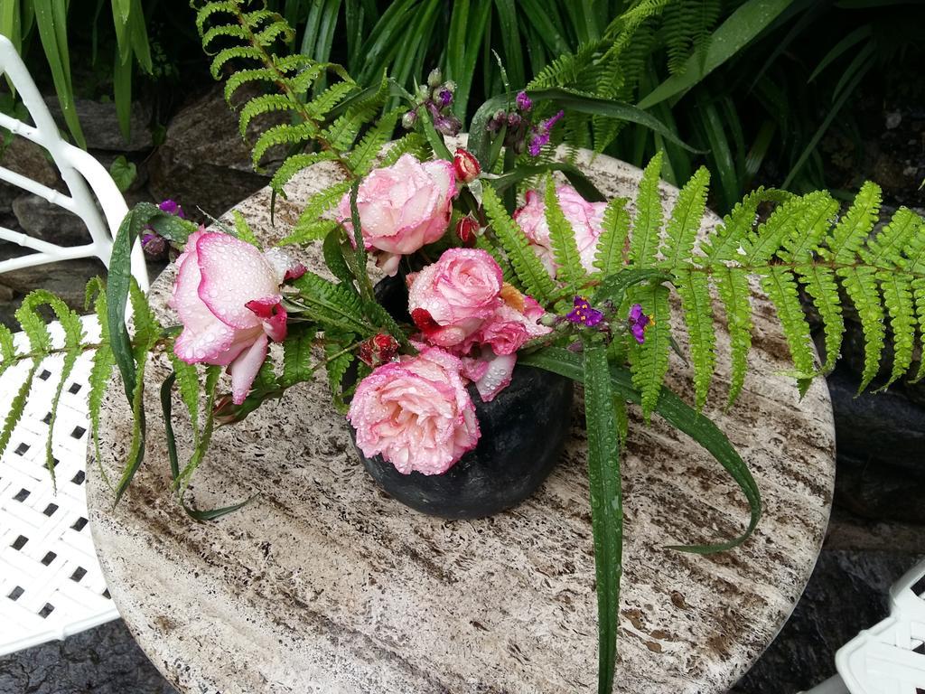 ロカルノCasa Grillinoアパートメント エクステリア 写真